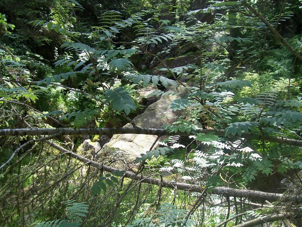 Kerschbamerhof im Süden Südtirols Kurtatsch Exterior foto